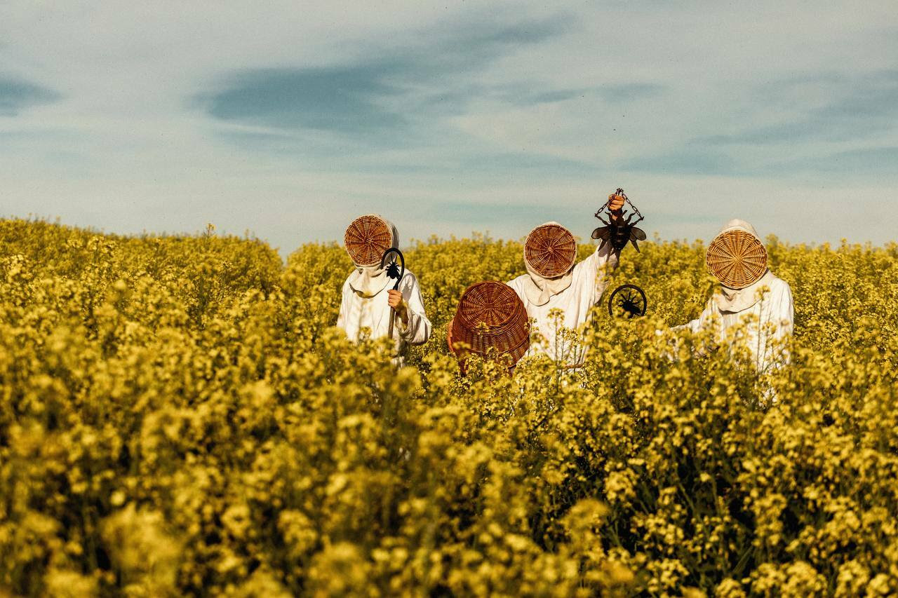 Vígljós Swamp Booking